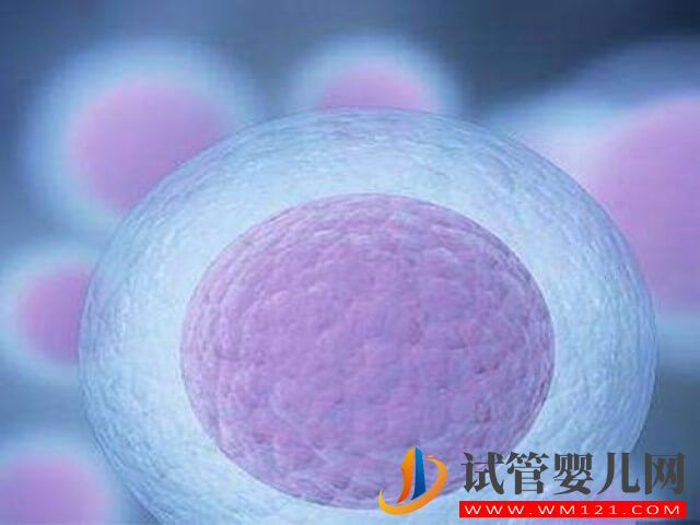 在國內冷凍卵子一年的費用大概是多少？(圖2)