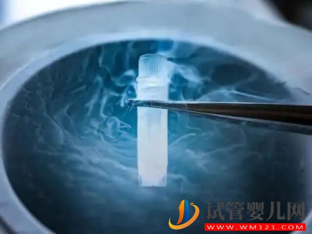 我國衛健委為什么禁止未婚女性凍卵？(圖1)