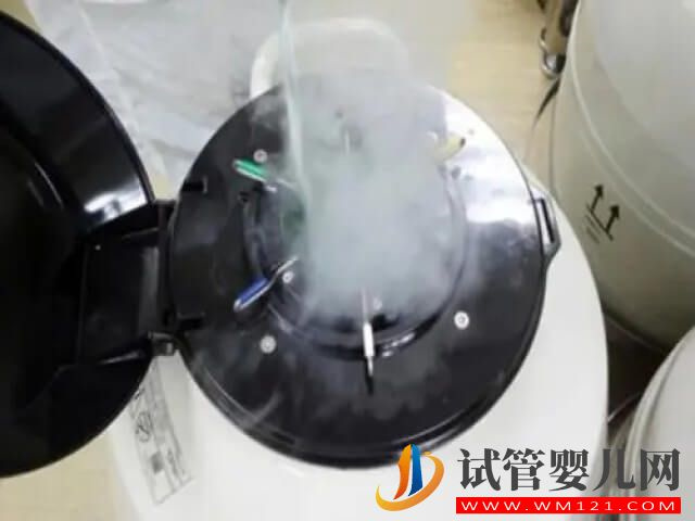 中國(guó)哪里能提供未婚凍卵技術(shù)？(圖1)