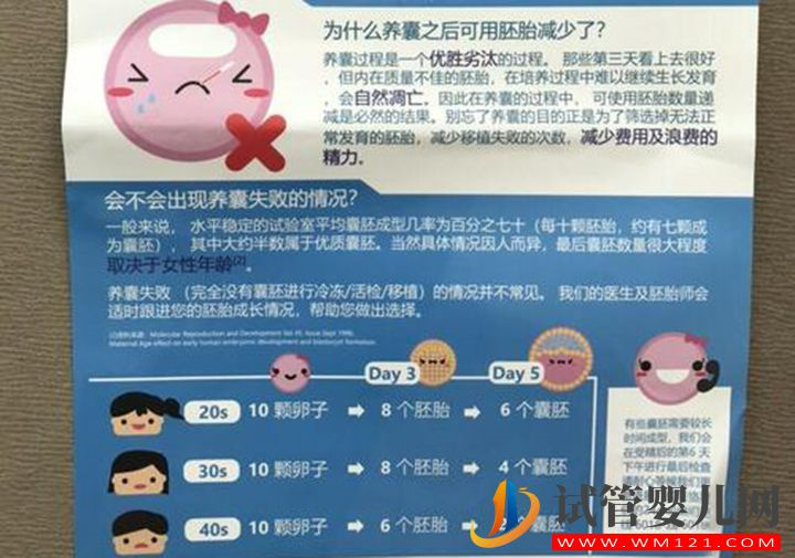 囊胚質量認定很簡單，通過基礎卵泡數量就可判斷(圖1)