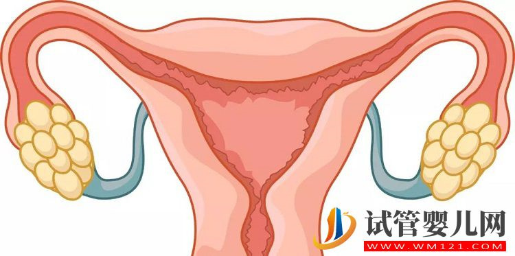 想選擇微刺激方案促排，先看看是不是這3類人群之一(圖1)