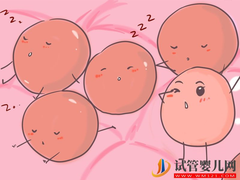 想選擇微刺激方案促排，先看看是不是這3類人群之一(圖2)