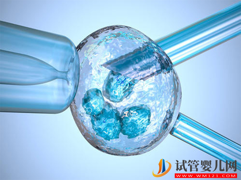 試管短方案取卵一月內可以移植鮮胚嗎？(圖1)