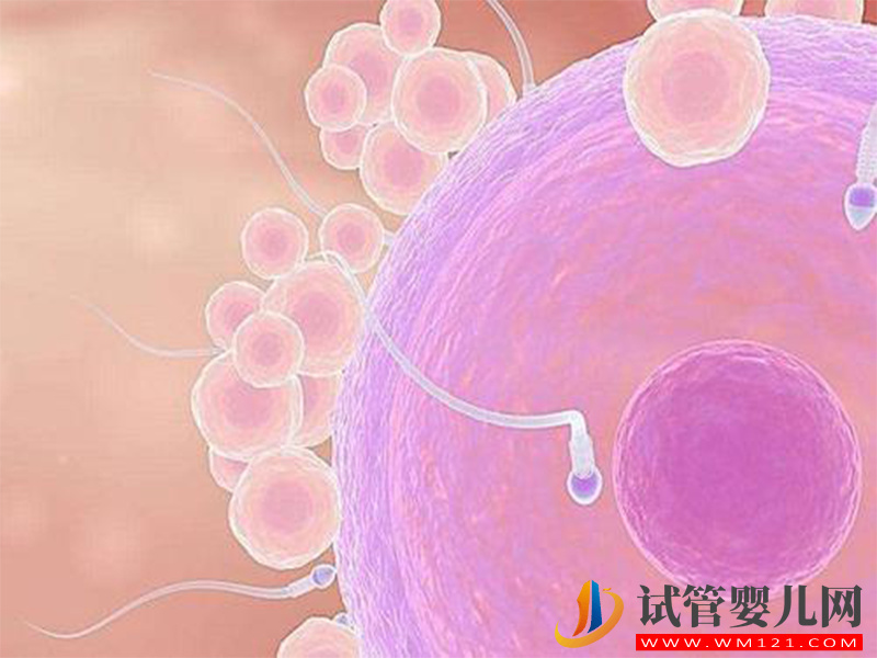 做人工授精自然周期也要分人，這3種情況成功率極低(圖2)