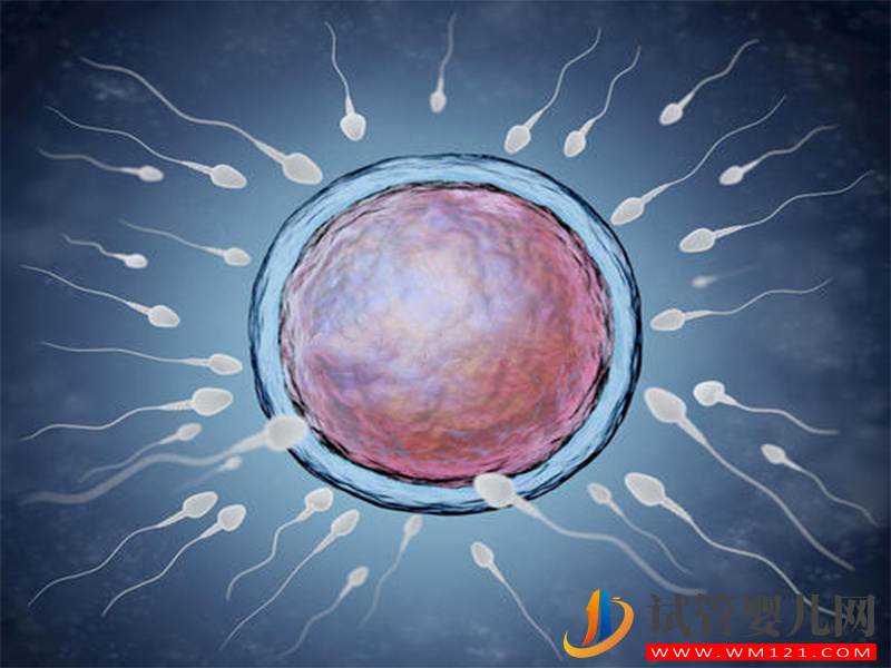 做人工授精自然周期也要分人，這3種情況成功率極低(圖3)