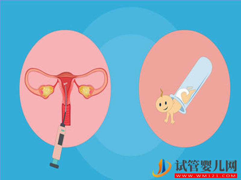 自然周期囊胚移植必看！簡單三點教你提高試管成功率(圖1)