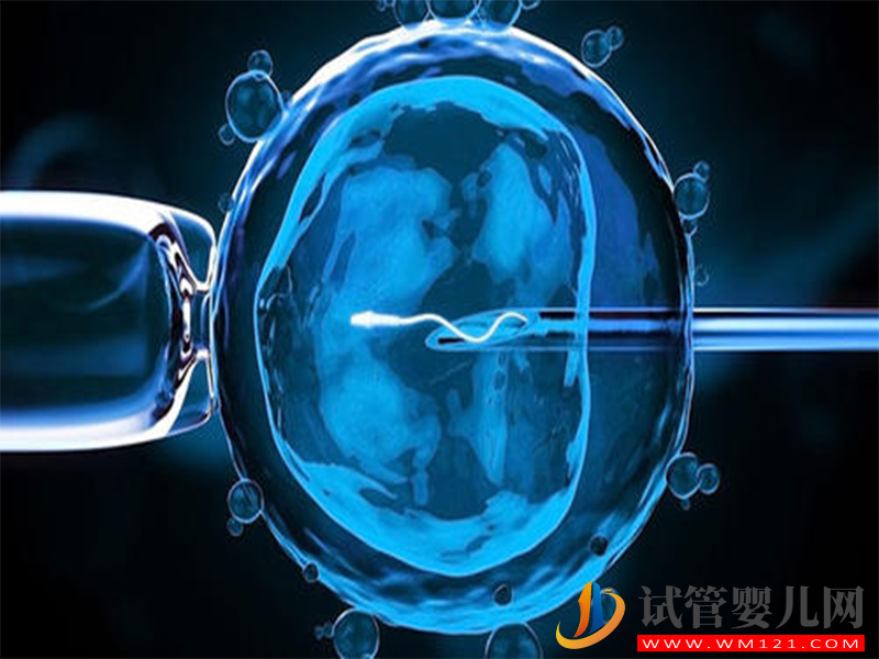 想提高試管自然周期成功率，聽聽最權威的醫生怎么說(圖2)