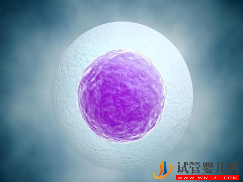 想提高試管自然周期成功率，聽聽最權威的醫生怎么說(圖4)