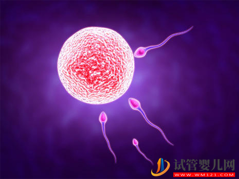 試管自然周期懷雙胎成功率高，高風險警告你不能隨意做(圖1)