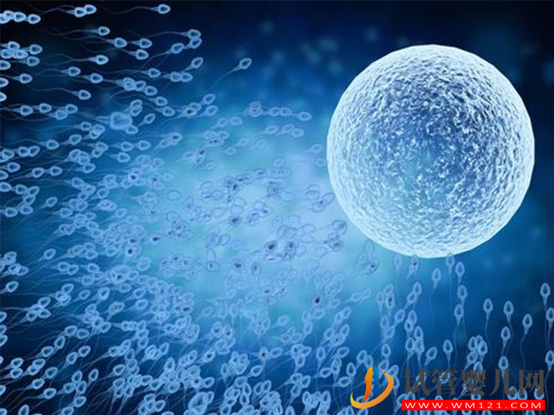 試管自然周期懷雙胎成功率高，高風險警告你不能隨意做(圖2)