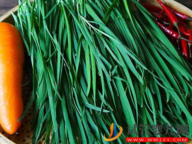 這5種東西越吃產生的精子量就越多，簡直是弱少精患者的福音(圖2)