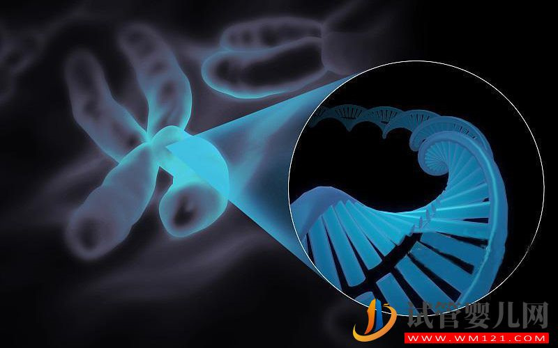 染色體數量有問題可以做試管助孕嗎?(圖1)