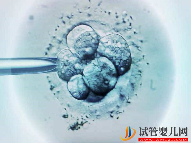 揭秘二代試管全過程，其實就是檢查、進周兩大階段(圖1)