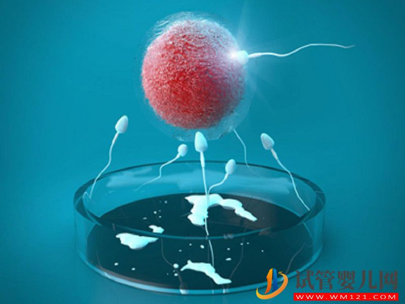 國外第四代試管嬰兒的成功率可以達到多少？(圖1)