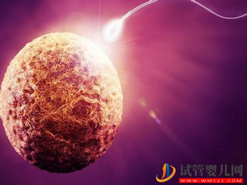 第四代試管嬰兒主要針對哪些人群？(圖3)