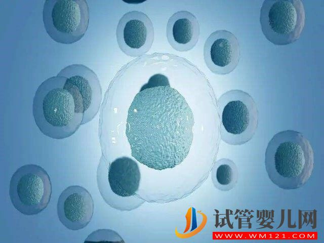 為什么基礎卵泡明明有10個降調后卻只有3個了？(圖1)