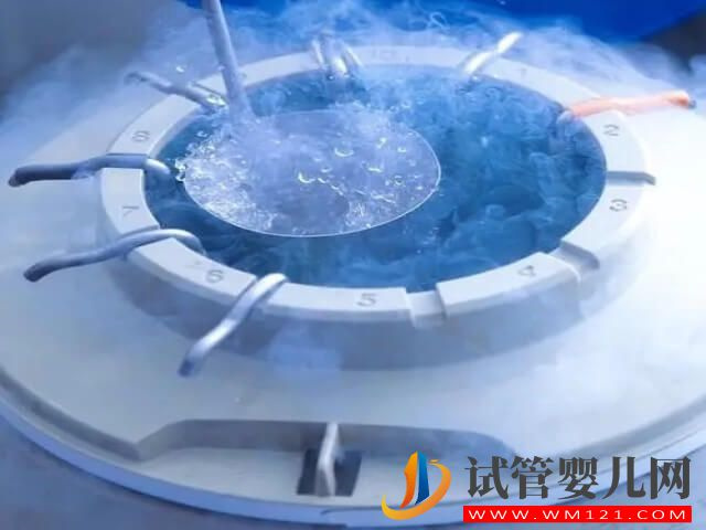 試管胚胎在零下196度的氮液中凍了3年還可以要嗎？(圖1)