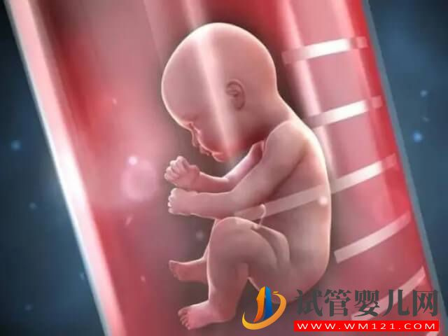 在編女教師做試管嬰兒可以請半年的假嗎？(圖1)