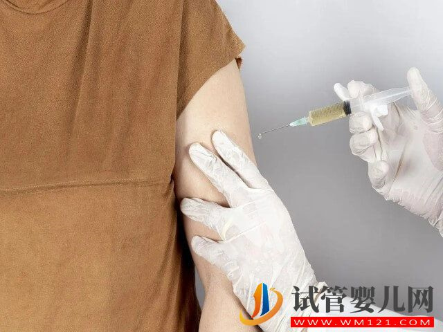 試管促排期間只打了兩天普麗康為啥又換果納芬？(圖1)