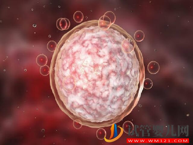 試管取一個卵泡配成一個優質胚胎的概率大嗎？(圖1)