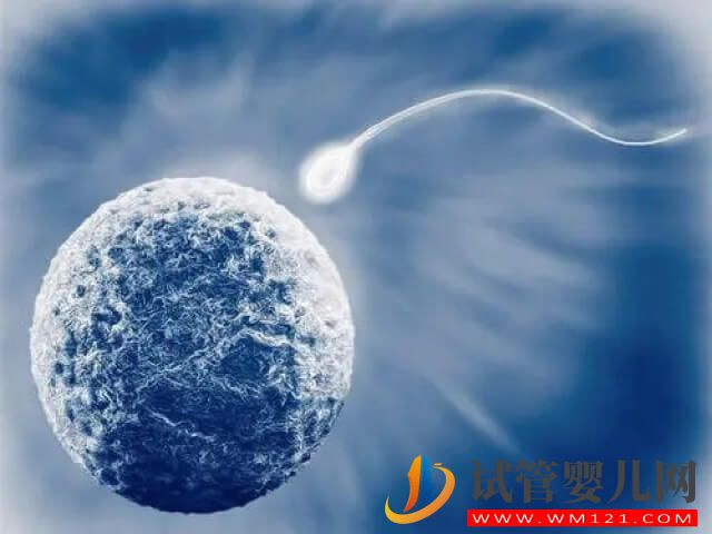 男方精子正常形態(tài)比例低于1%能做試管嬰兒嗎？(圖1)