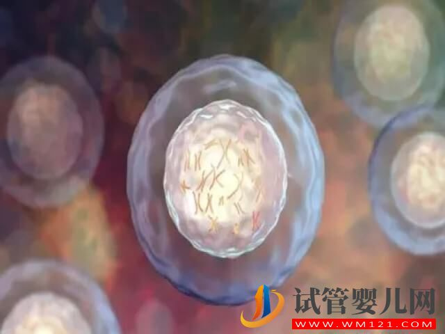 卵泡質量不好做試管用什么促排卵方案合適？(圖2)