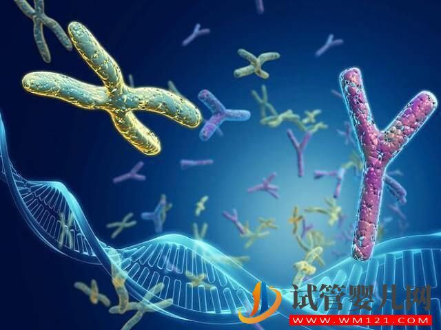 精子dna完整性差一般會影響做試管的成功率嗎？(圖1)