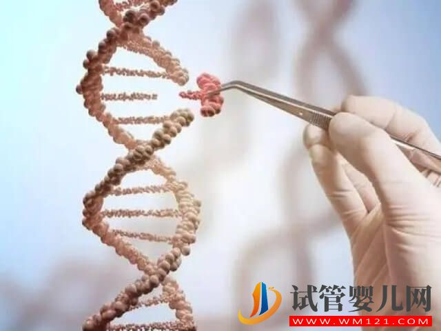 姐妹們試管前期檢查時醫生為啥沒給我查染色體？(圖1)