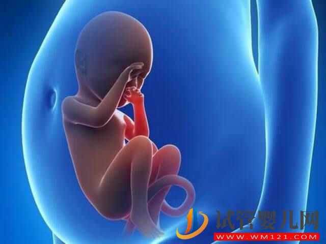 不孕不育患者利用試管嬰兒技術(shù)助孕懷的都是雙胎嗎？(圖1)