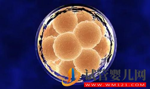 達(dá)州哪里做試管嬰兒最好？(圖1)