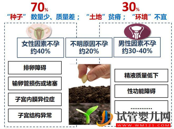 試管嬰兒技術走到了哪一步？(圖4)