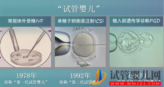 試管嬰兒技術走到了哪一步？(圖7)