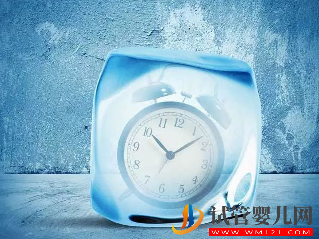 盲目凍卵對身體危害真不小，其中利弊提前知道好做正確選擇(圖1)