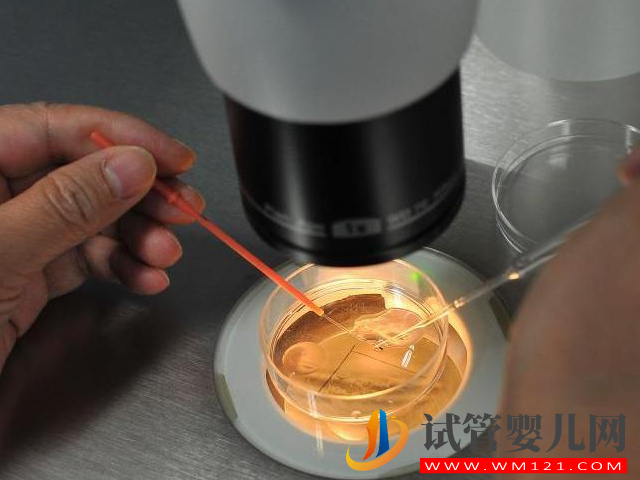 國(guó)內(nèi)正規(guī)醫(yī)院第三方供卵試管全流程，簡(jiǎn)單五步驟只需25天(圖4)
