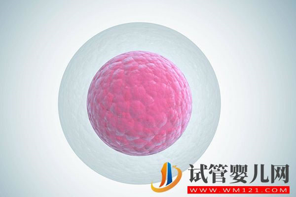 試管促排卵泡14-15mm不能用，多大可取卵視合格標(biāo)準(zhǔn)而定(圖3)