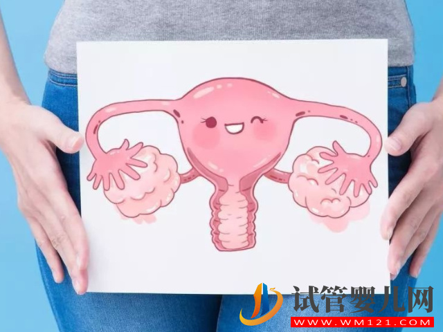 20-30歲女性卵巢功能下降不要怕，學會這幾招輕松調整狀態(圖1)