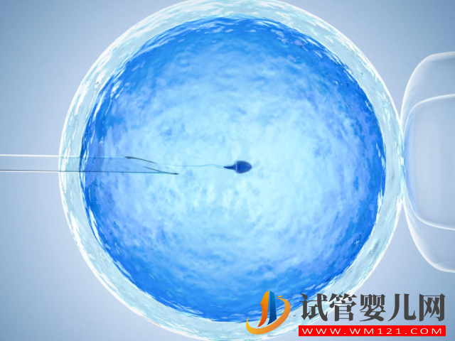 昆明正規(guī)醫(yī)院供卵試管費用明細，一般家庭也承擔得起(圖1)