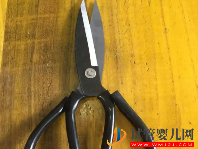 備孕很久卻懷不上不要怕，試試民間很靈的風水化解法(圖3)