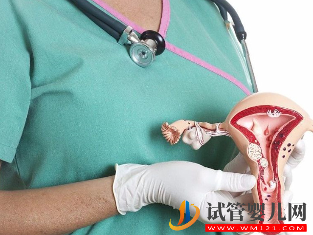 內膜薄必吃的4種促生長中藥方子分享，還您一片肥沃的土壤(圖1)