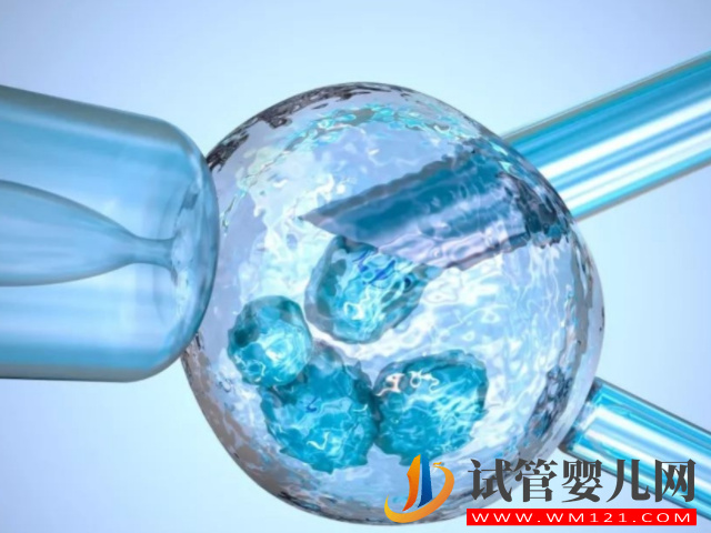 泰國三代試管龍鳳胎價格表一覽，一次湊足個“好”字超劃算(圖3)