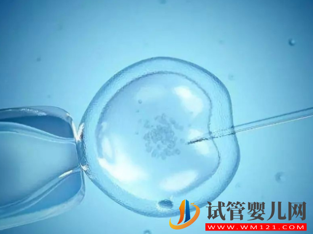 泰國十大正規試管醫院排名分享，尋找適合自己的醫院(圖1)