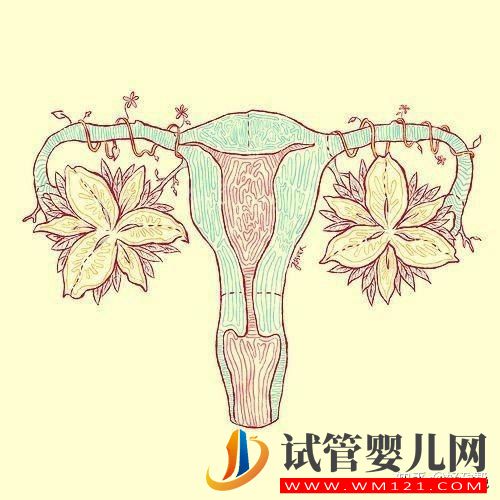 胚胎質(zhì)量好,移植卻頻頻失敗 什么原因造成？(圖2)