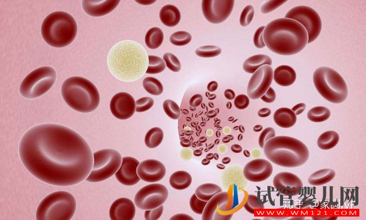 移植后驗孕,最快要等幾天(圖2)