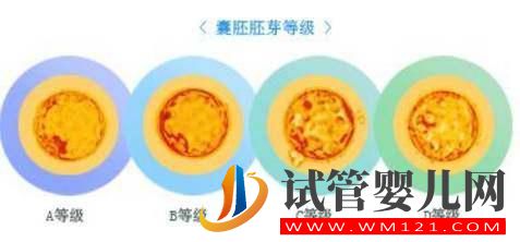 試管嬰兒多次移植不著床或生化,怎么辦(圖3)