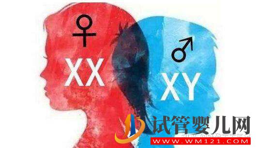 一次移植兩個囊胚,成功龍鳳胎(圖3)