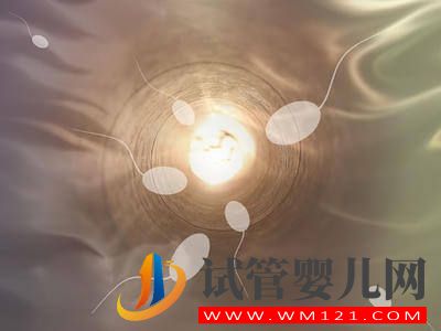 試管的成功率并非百分百，有哪些因素會影響到(圖1)