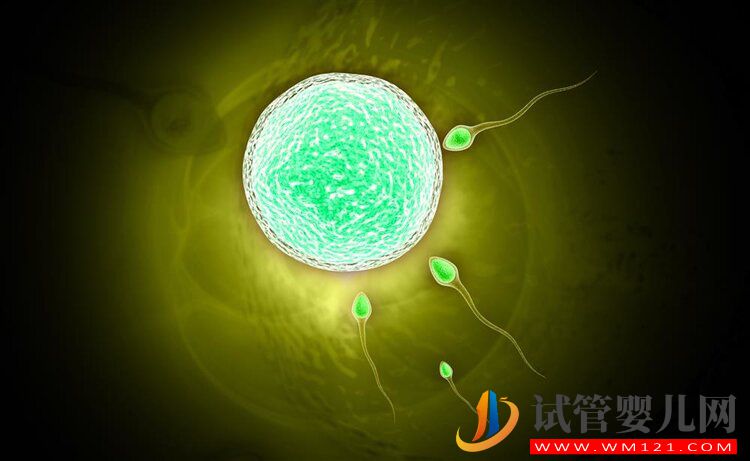 為什么親生孩子會長得像前男友？(圖4)