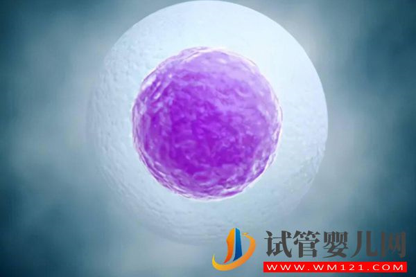 別糾結試管取卵一般取幾個比較好，只獲取6個數量并不算少(圖2)