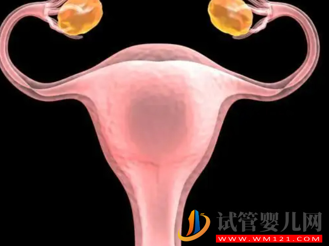 先天幼稚子宮做試管成功率評估，先治療再手術成功率翻倍(圖2)