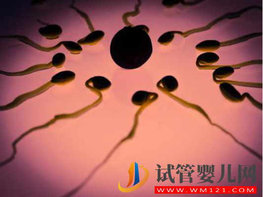 做試管基礎(chǔ)卵泡少怎么辦？(圖1)